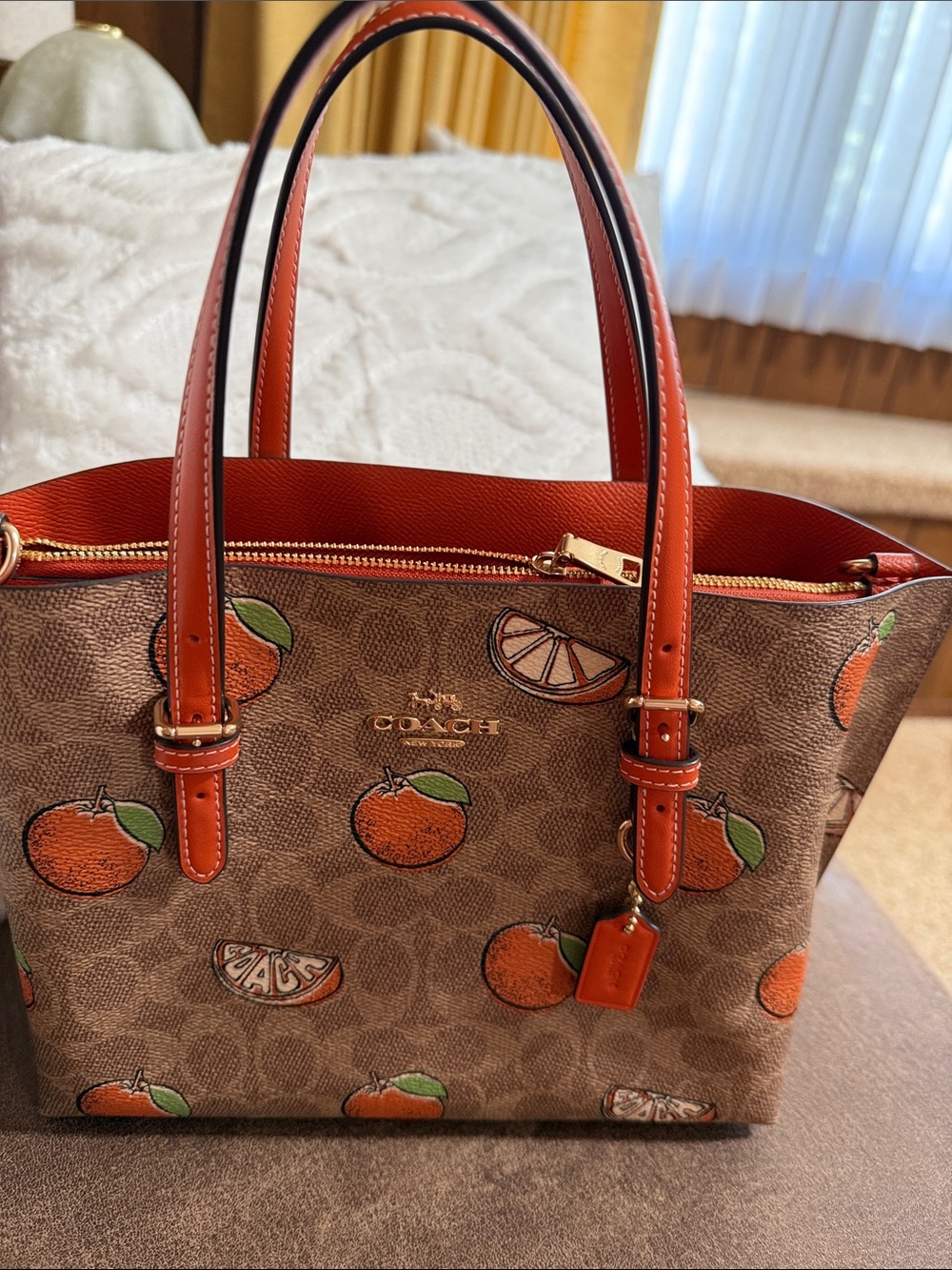 Coach Mollie Tote